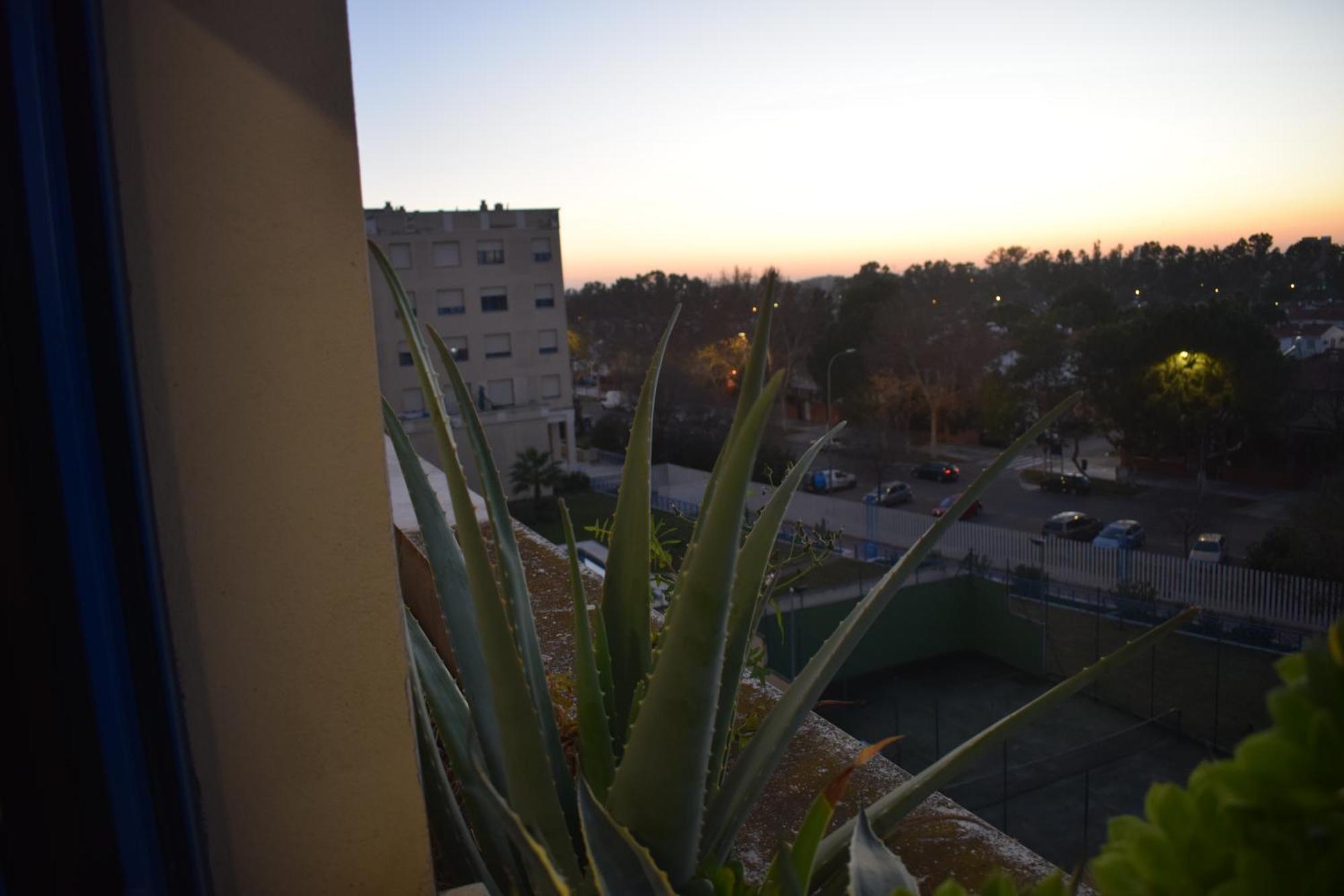 Fibes Lux Este. Appartement